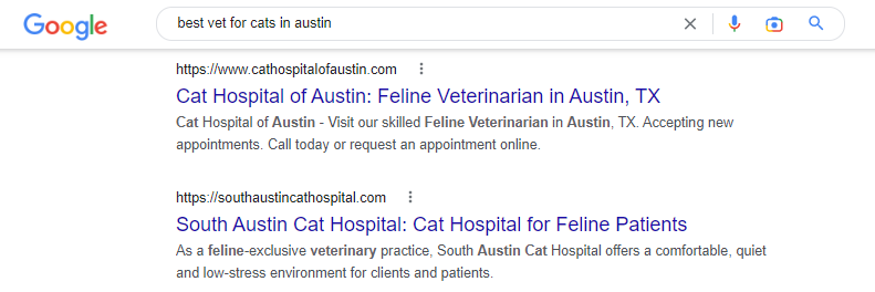 オースティンで最高の猫用獣医